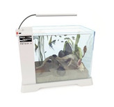 آکواریوم دلسا مدل B102 – Delsa Aquarium Model B102 با طراحی شفاف و پایه محکم