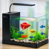 آکواریوم دلسا مدل B102 – Delsa Aquarium Model B102 با طراحی شفاف و پایه محکم