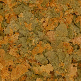 پولکی گیاهی سیکلید اوشن نوتریشن Cichlid Vegi Flake – غذای گیاهی مخصوص سیکلیدها