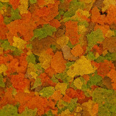 نمای نزدیک غذای پولکی/گرانولی تروپیکال مخصوص گوپی